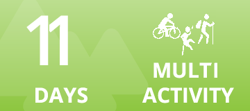 days11 multiactivity